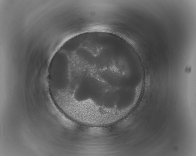 X0000111051470200907091621