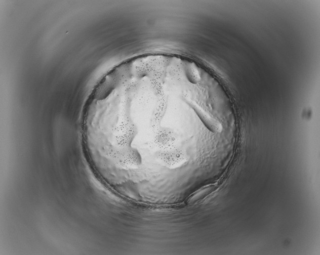 X0000111051471200907091621