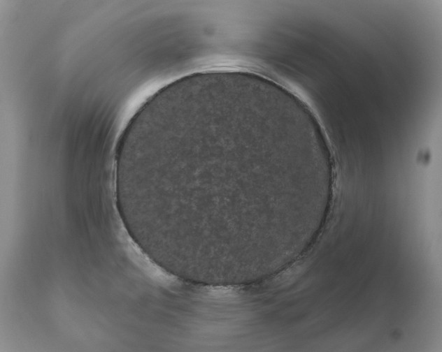 X0000111051472200907091621