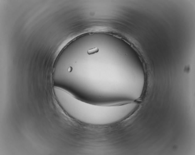 X0000111051473200907091621