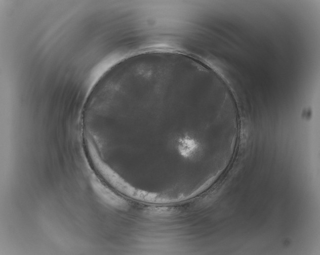 X0000111051474200907091621