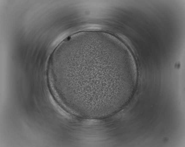 X0000111051475200907091621