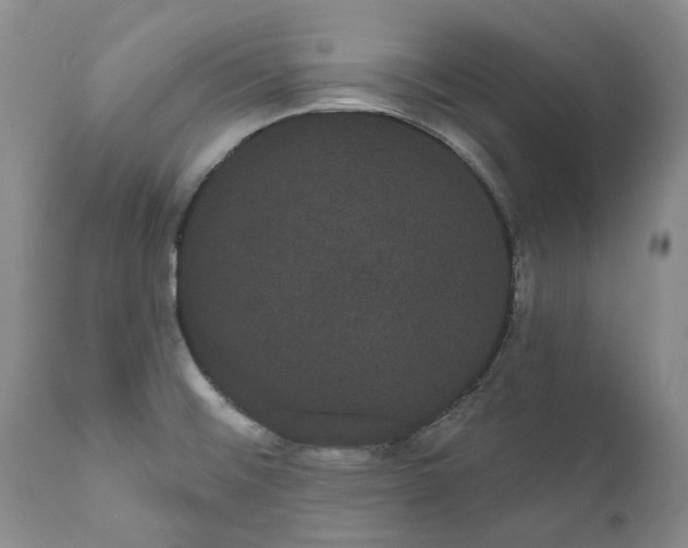 X0000111051476200907091621