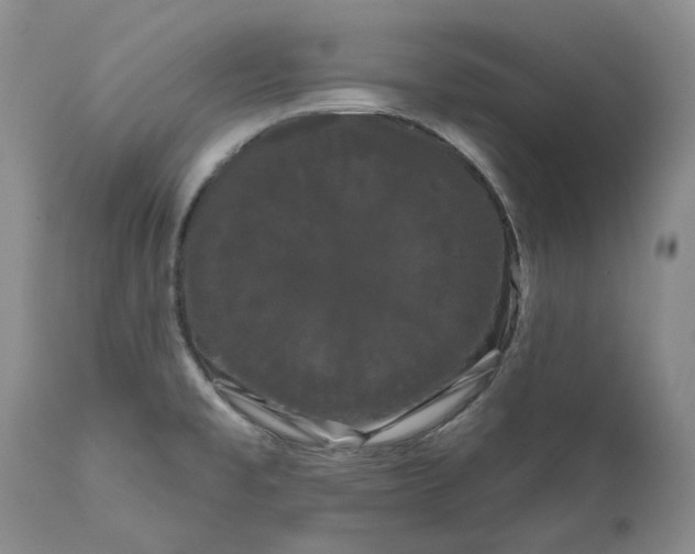 X0000111051477200907091621