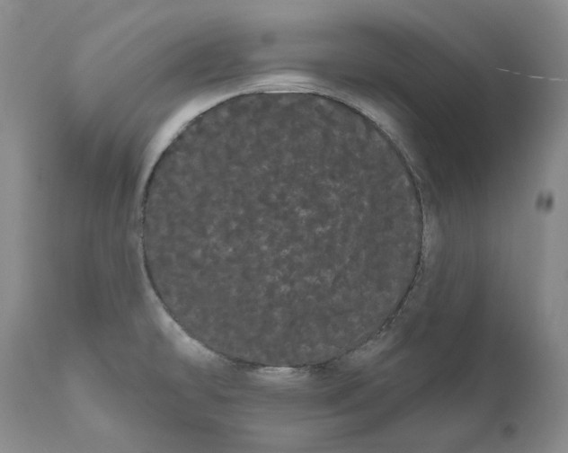 X0000111051478200907091621