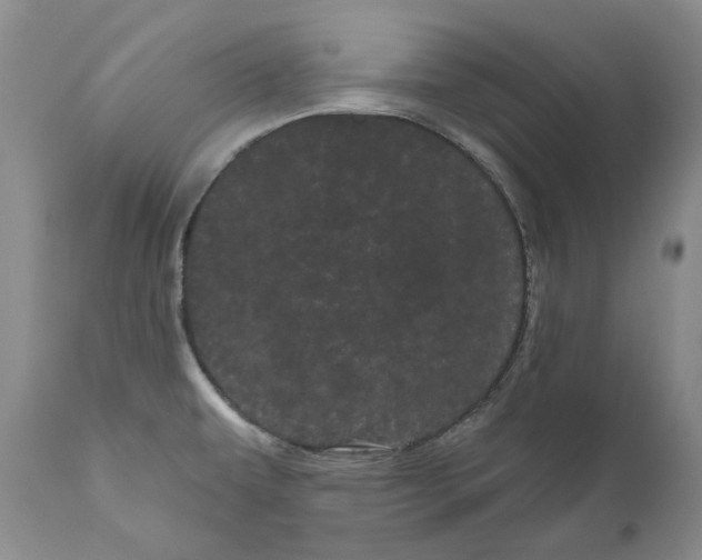 X0000111051479200907091621