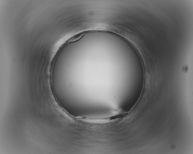 X0000111051480200907091621