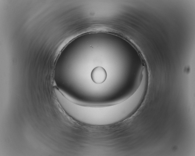 X0000111051481200907091621