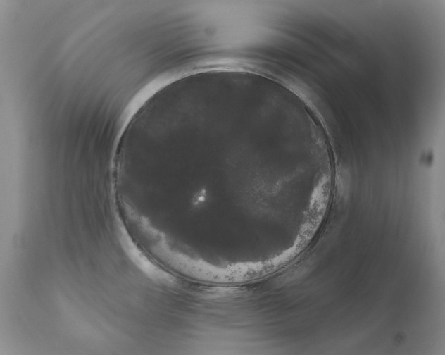 X0000111051482200907091621