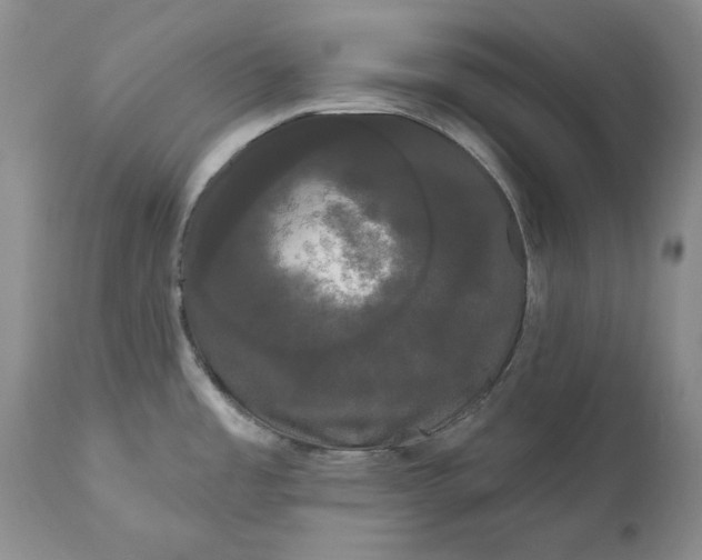 X0000111051485200907091621