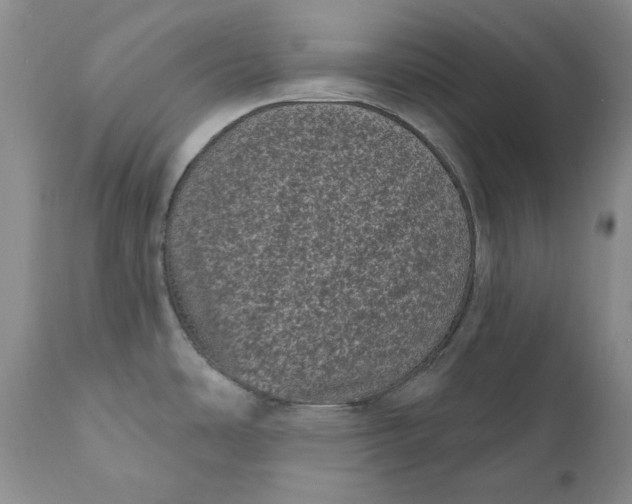 X0000111051486200907091621