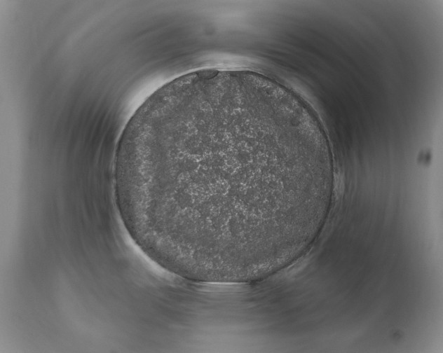 X0000111051487200907091621