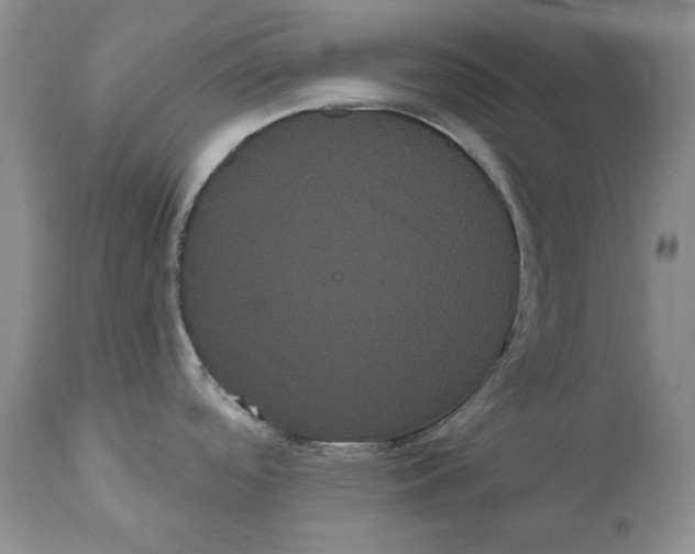 X0000111051488200907091621