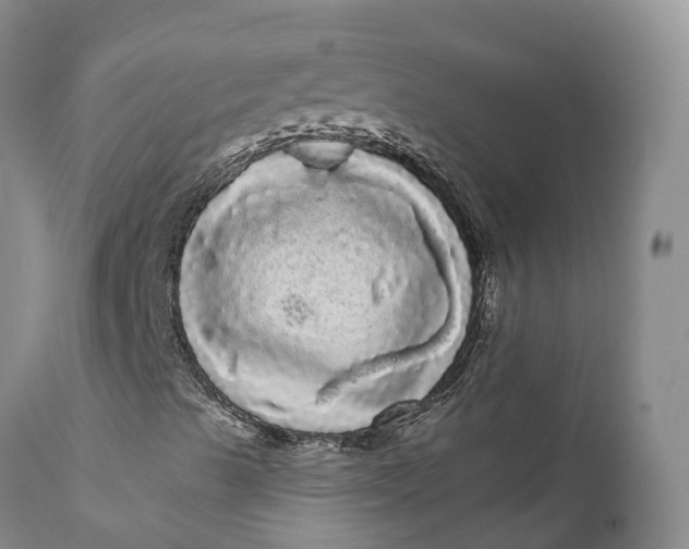 X0000111051489200907091621