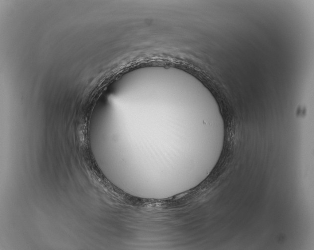 X0000111051490200907091621