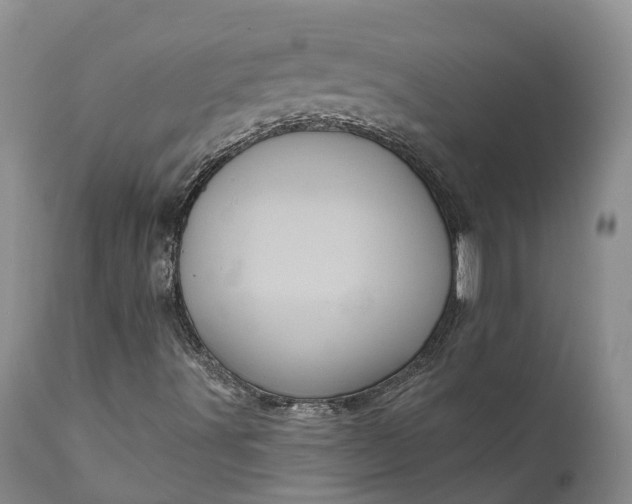 X0000111051491200907091621