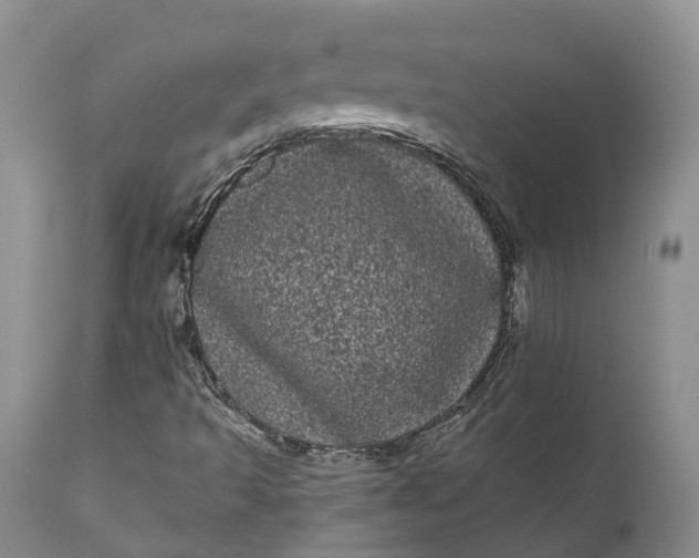 X0000111051493200907091621