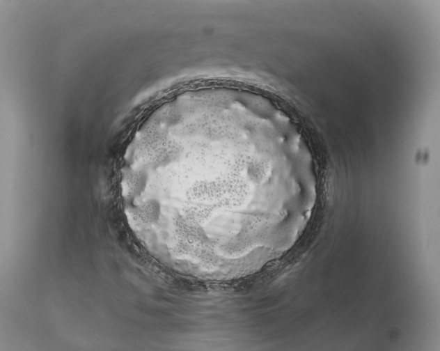 X0000111051494200907091621