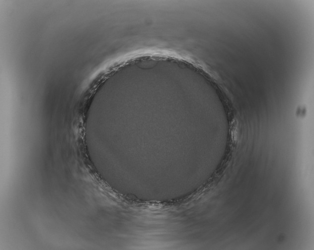 X0000111051495200907091621