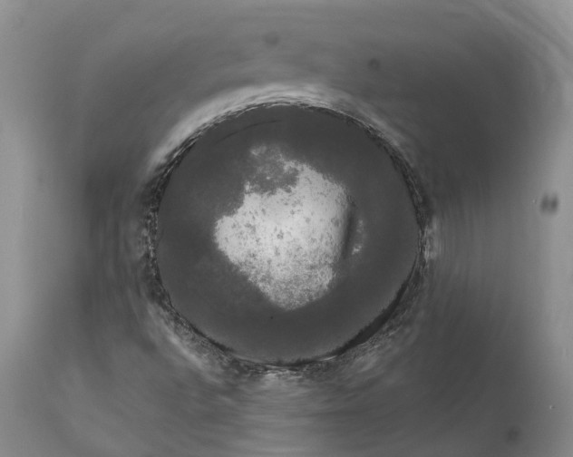 X0000111051496200907091621