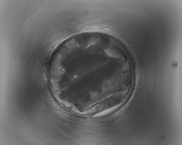 X0000111051497200907091621