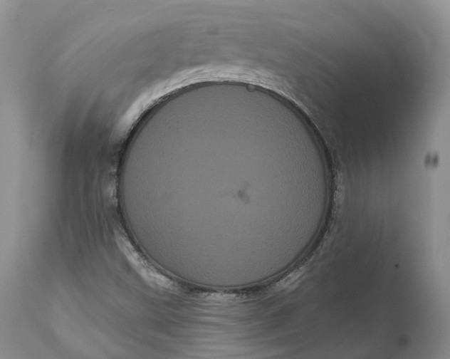 X0000111051499200907091621