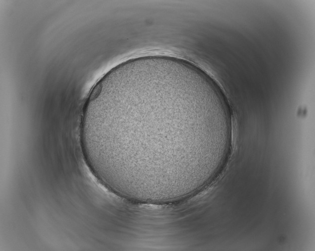 X0000111051500200907091621