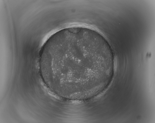 X0000111051501200907091621