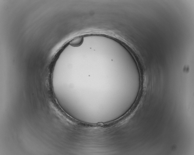 X0000111051502200907091621