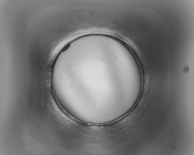 X0000111051504200907091621