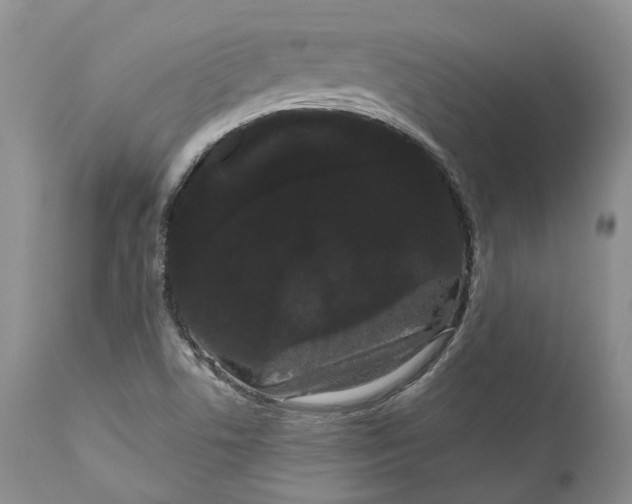 X0000111051506200907091621