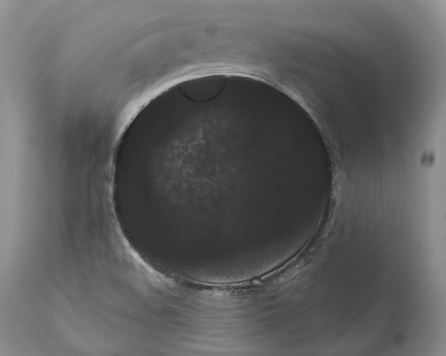 X0000111051508200907091621