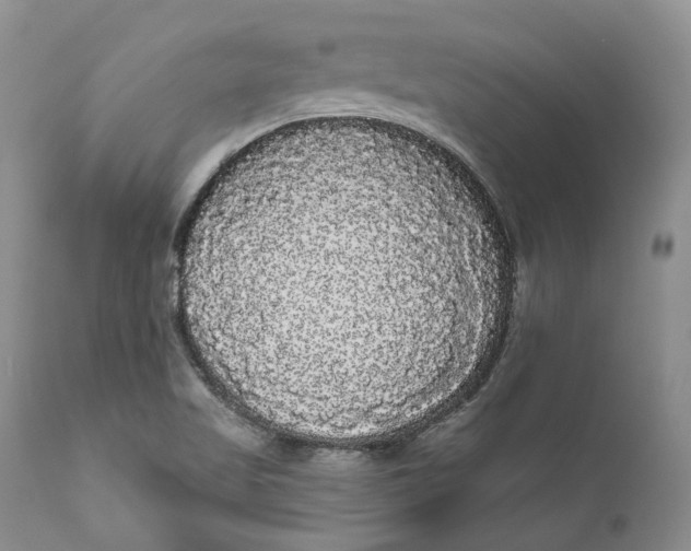 X0000111051509200907091621