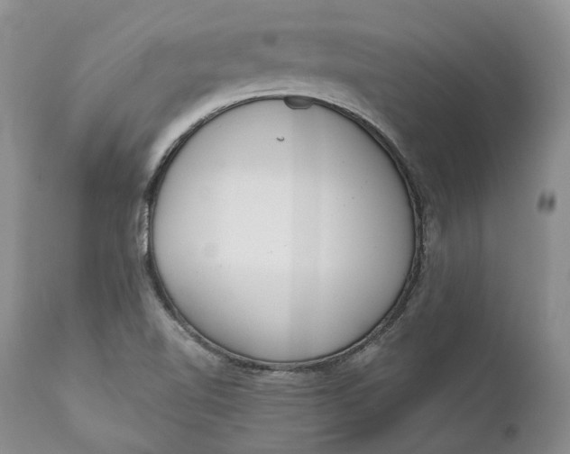 X0000111051510200907091621