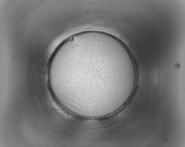 X0000111051511200907091621