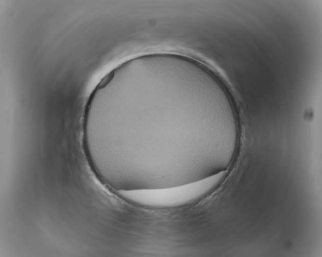 X0000111051512200907091621