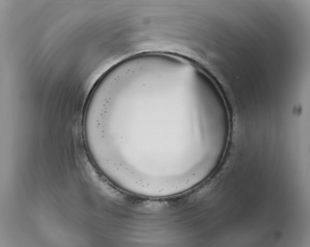 X0000111051513200907091621