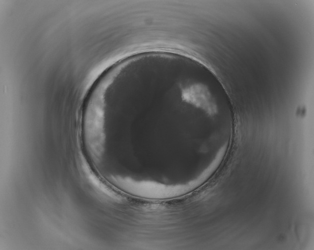 X0000111051515200907091621