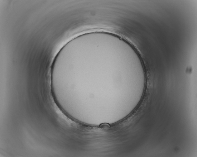 X0000111051516200907091621