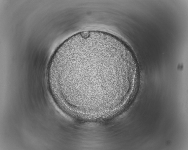 X0000111051517200907091621