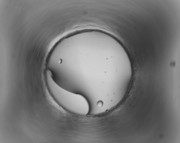 X0000111051518200907091621