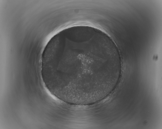 X0000111051519200907091621