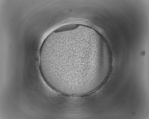 X0000111051520200907091621