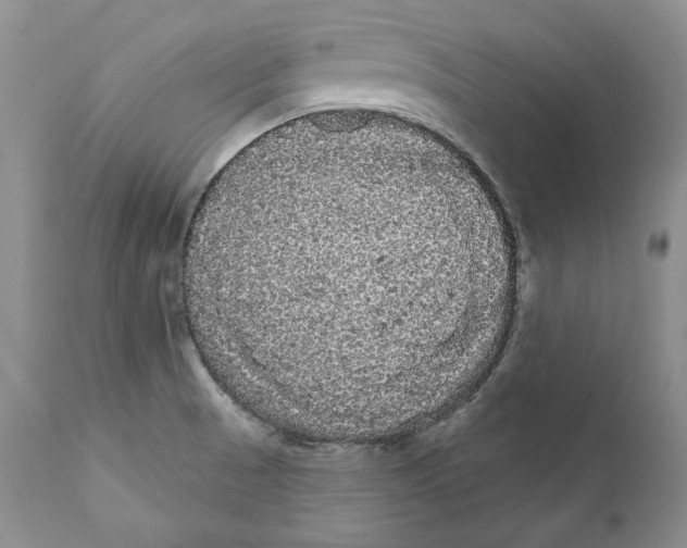 X0000111051521200907091621