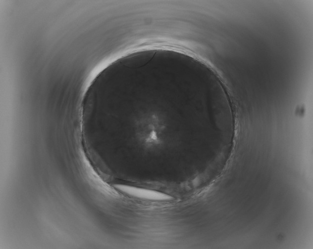 X0000111051522200907091621