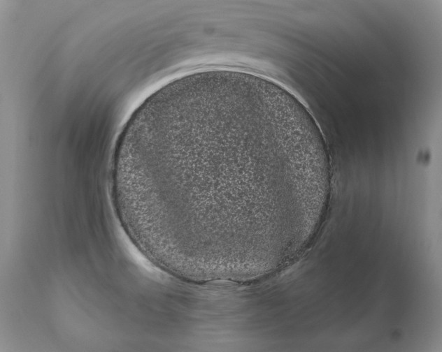 X0000111051523200907091621