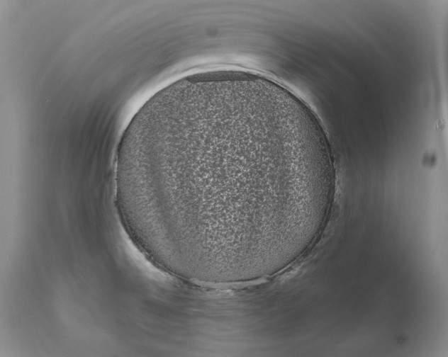 X0000111051524200907091621