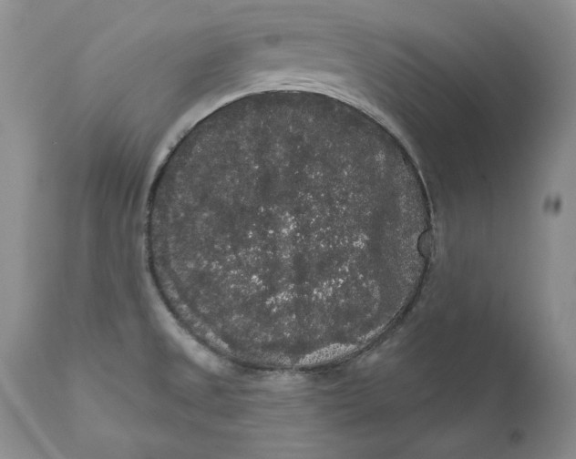 X0000111051525200907091621