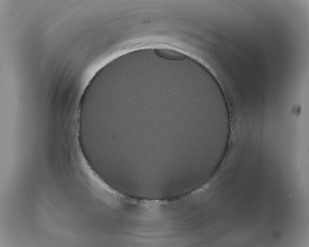 X0000111051526200907091621