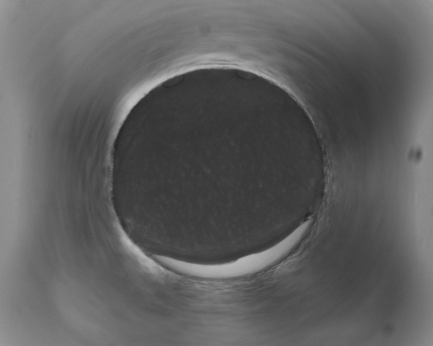 X0000111051527200907091621